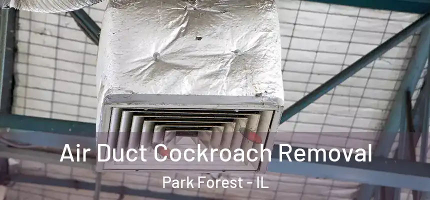 Air Duct Cockroach Removal Park Forest - IL