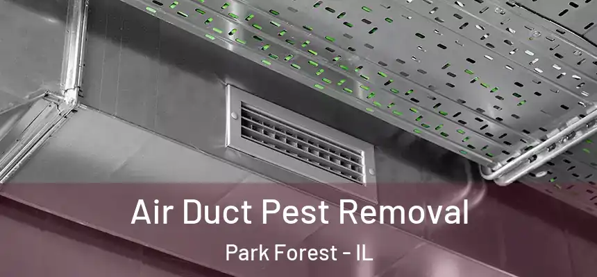 Air Duct Pest Removal Park Forest - IL
