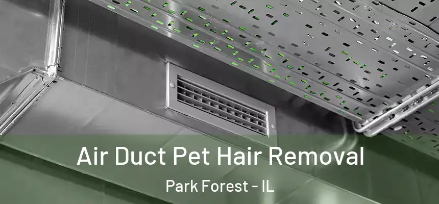  Air Duct Pet Hair Removal Park Forest - IL