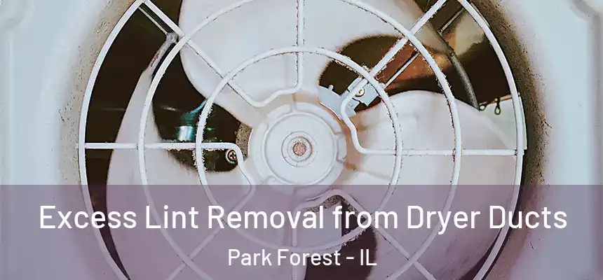 Excess Lint Removal from Dryer Ducts Park Forest - IL