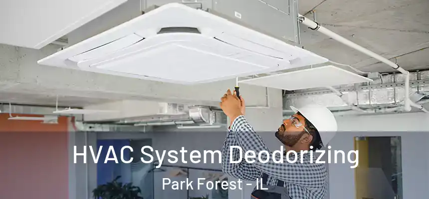 HVAC System Deodorizing Park Forest - IL