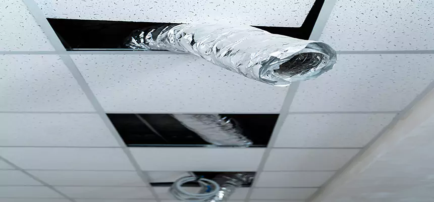 Affordable HVAC Sanitizing After Pest Removal in Park Forest