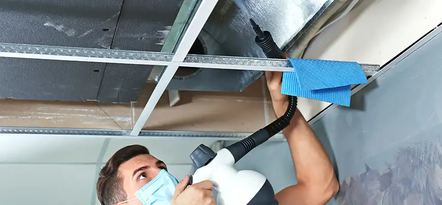 Our Air Duct Rodent Removal Services in Park Forest, IL