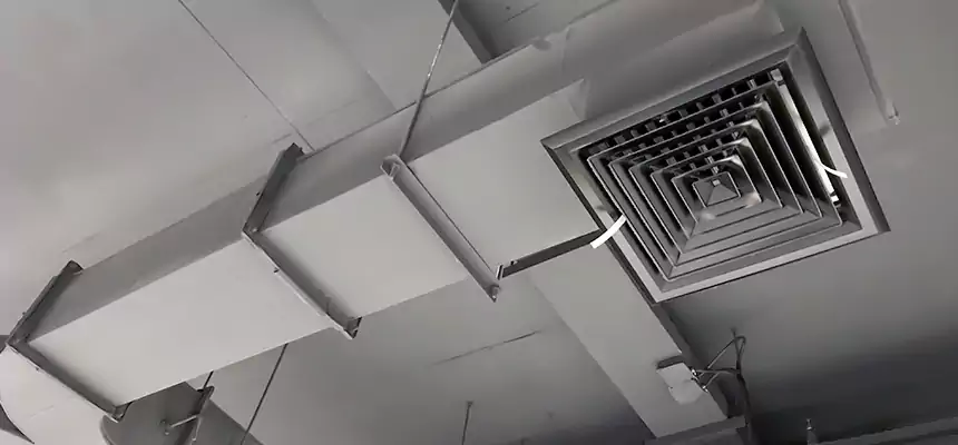 Restorative Allergy Relief Vent Cleaning – Coil, Blower & Housing Detail in Park Forest