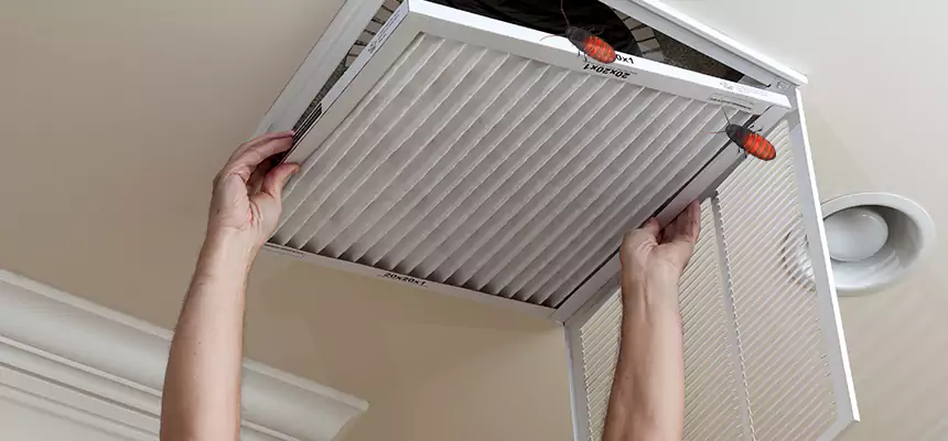 Our Insect Removal from Air Ducts Services in Park Forest, IL