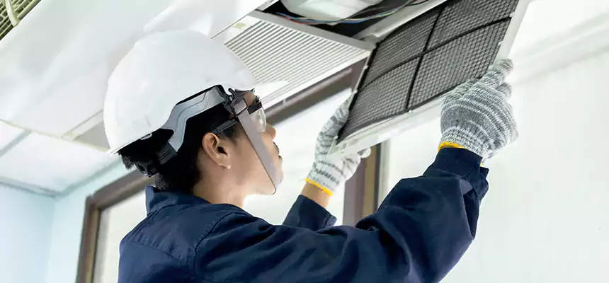 Our Mold & Mildew Removal from Air Ducts Services in Park Forest, IL