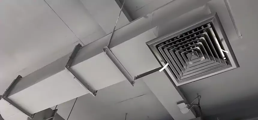 Our Pest Removal From Ducts Services in Park Forest, IL