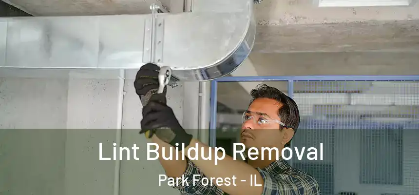 Lint Buildup Removal Park Forest - IL