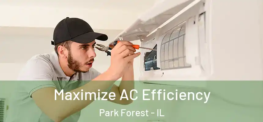 Maximize AC Efficiency Park Forest - IL