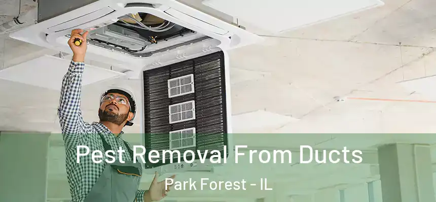  Pest Removal From Ducts Park Forest - IL