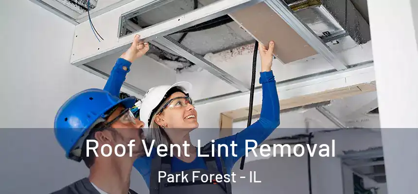 Roof Vent Lint Removal Park Forest - IL