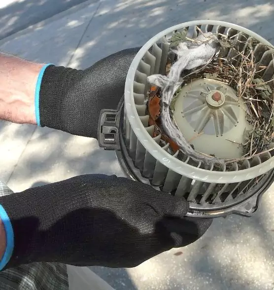 About Air Duct Mice Removal in Park Forest, IL