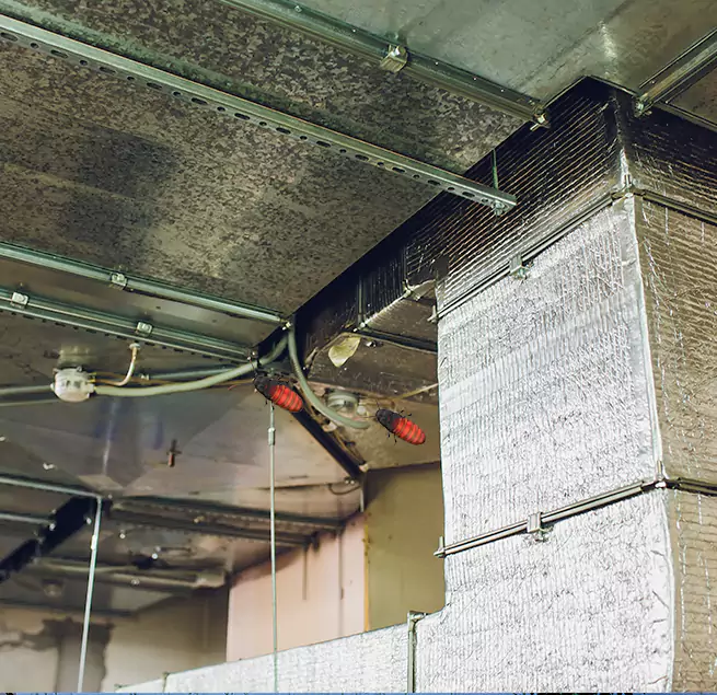 Why Homeowners & Businesses Trust Us in Park Forest, IL?