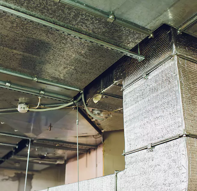 Why Homeowners & Businesses Trust Us in Park Forest, IL?